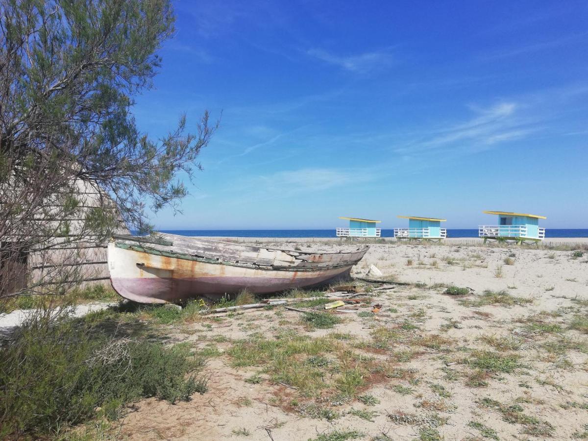 Appartement Tout Confort A Cap Coudalere Avec Vue Magnifique Sur Le Canigou Au Bord Du Lac - Check In Automatise - Parking Gratuit - Aire De Jeux D'Enfants - เลอบาร์กาแรส ภายนอก รูปภาพ